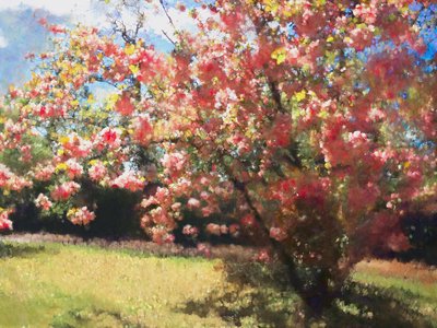 Kirschblüte, 2018 von Helen White